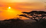 TANZANIA - Serengeti National Park - Tramonto - 5